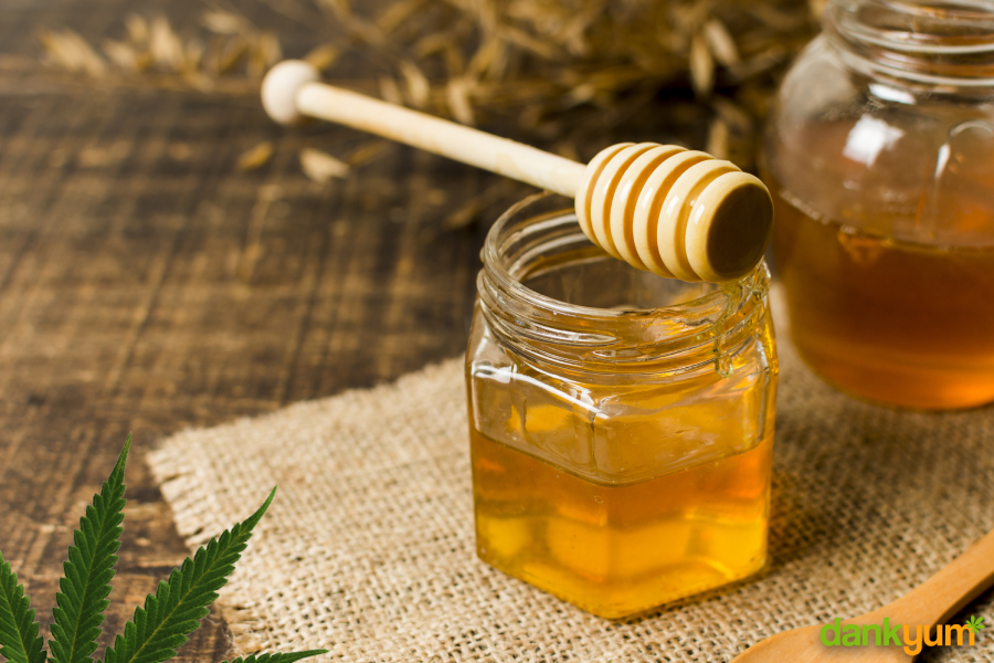 cannabis honey recipe