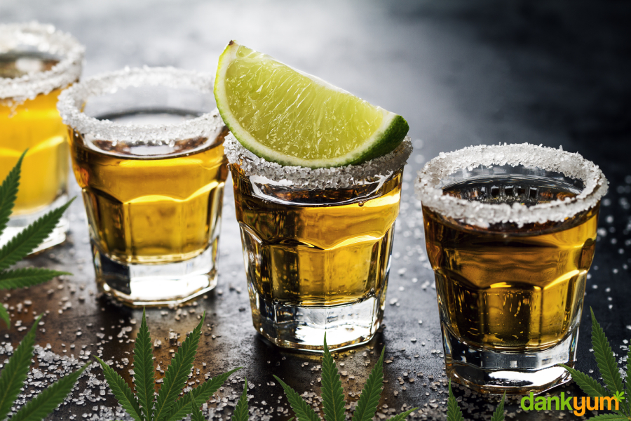 how to make weed tequila