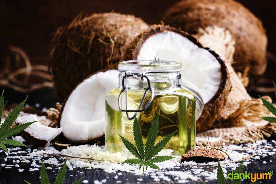 How To Make Cannabis Infused Coconut Oil (Potent & Easy)