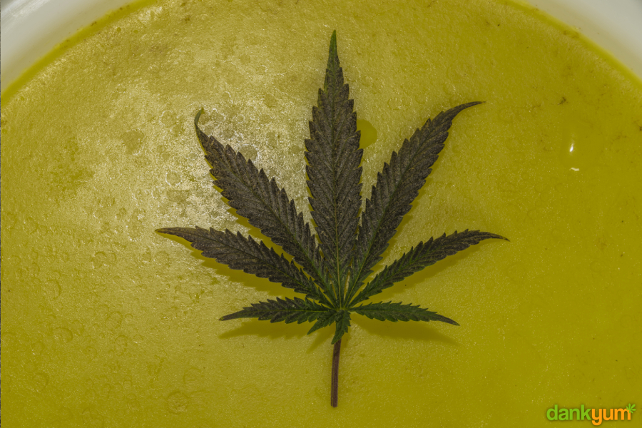 How To Make Cannabutter (Potent & Easy)