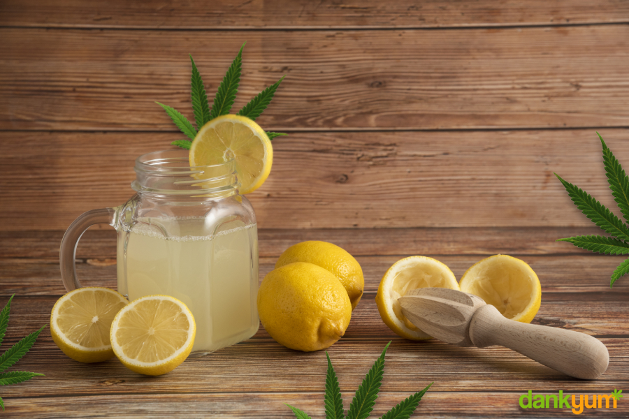 cannabis infused lemonade
