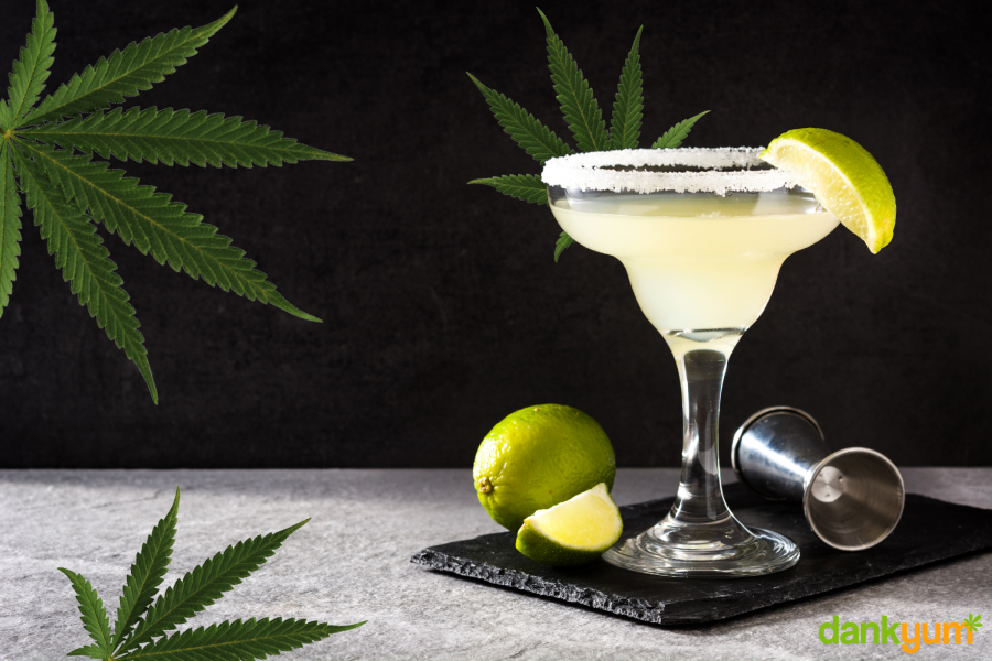 How To Make a Cannabis Margarita Cocktail