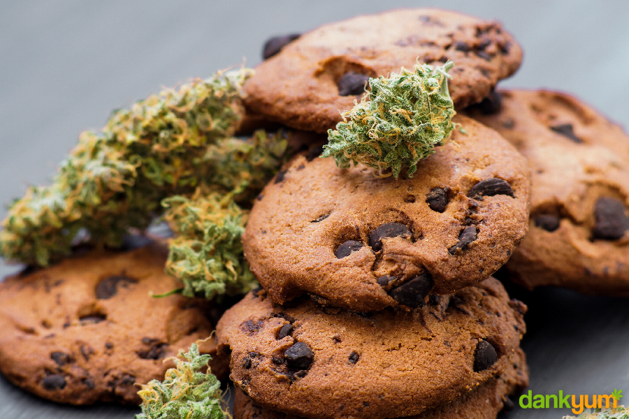Cannabis Infused Cookies Recipe