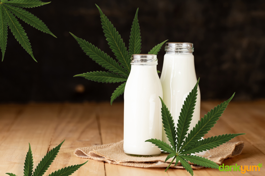 How To Make Cannabis Infused Milk