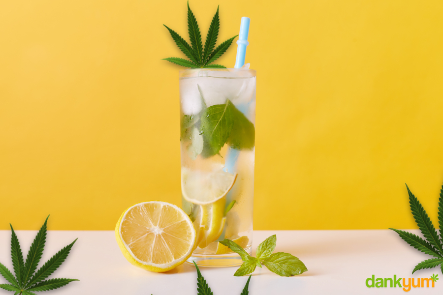 Cannabis Infused Lemonade