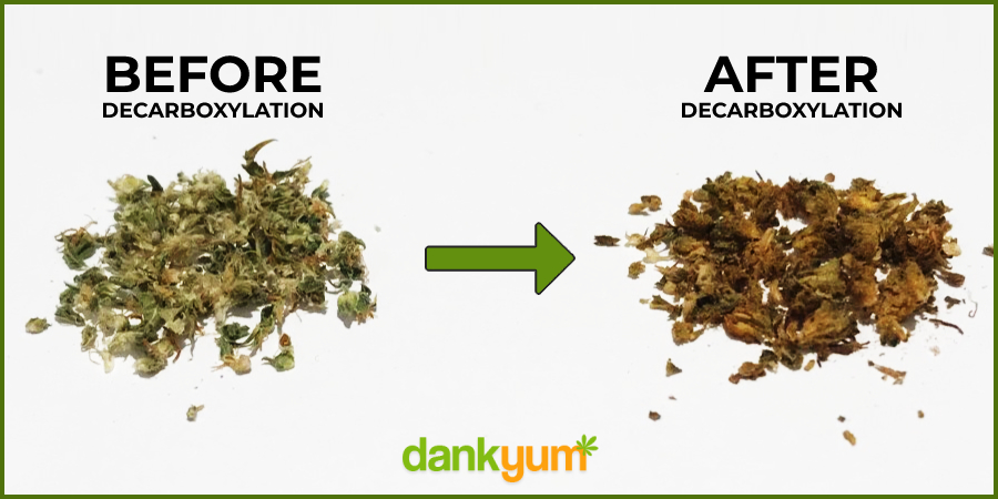 Weed Before and After Decarboxylation (Decarbing)