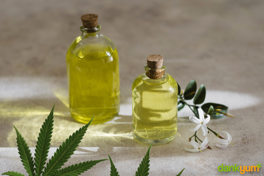 Cannabis Olive Oil Recipe